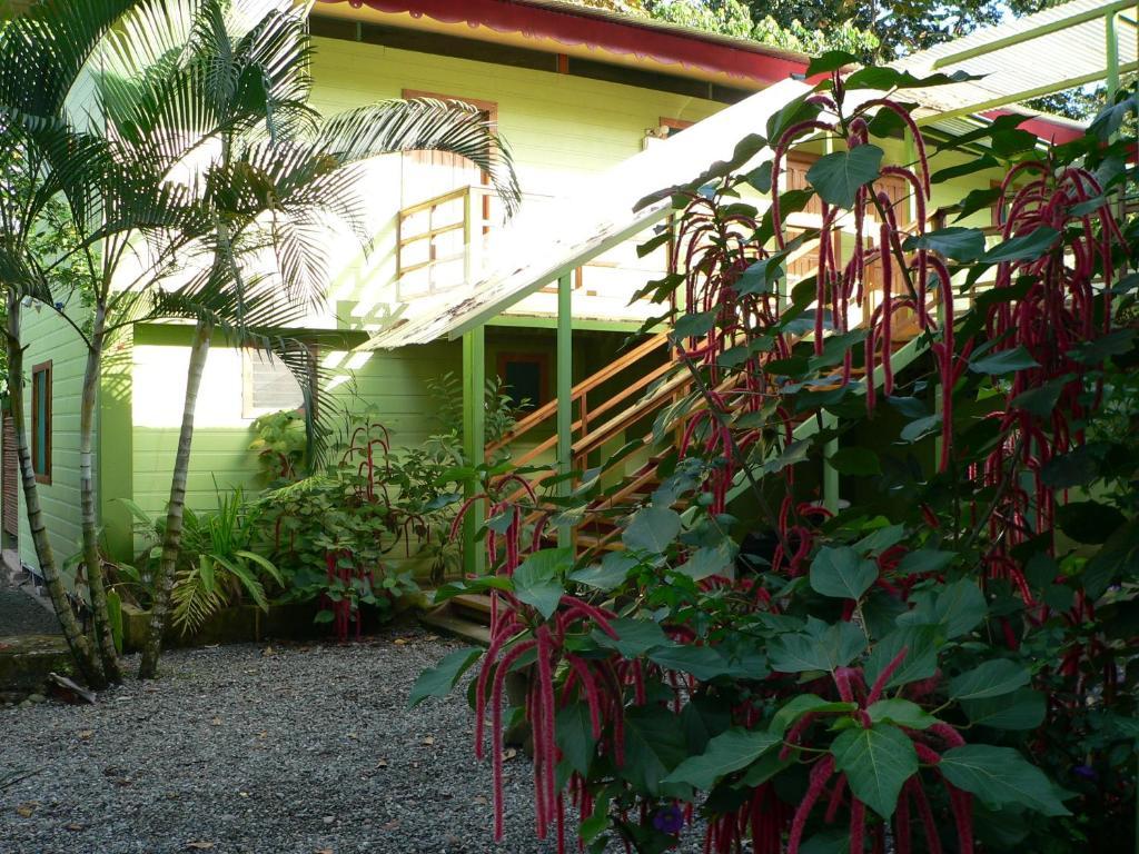 Отель Blue Conga Puerto Viejo de Talamanca Экстерьер фото